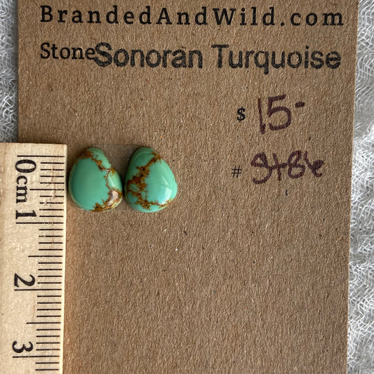 Sonoran Turquoise Cabochon - ST86