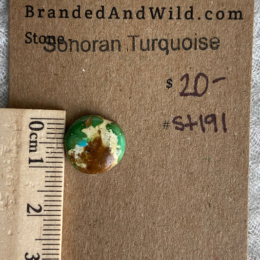 Sonoran Turquoise Cabochon - ST191