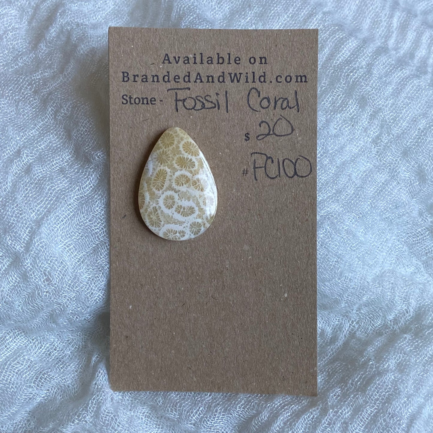 Fossil Coral Cabochon - FC100