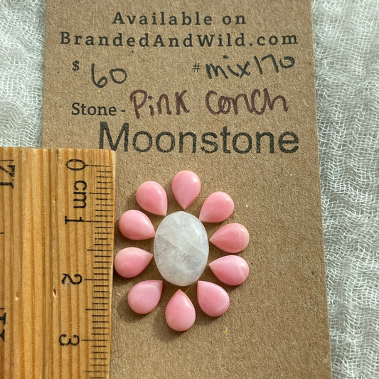 Pink Conch / White Moonstone- Mix170