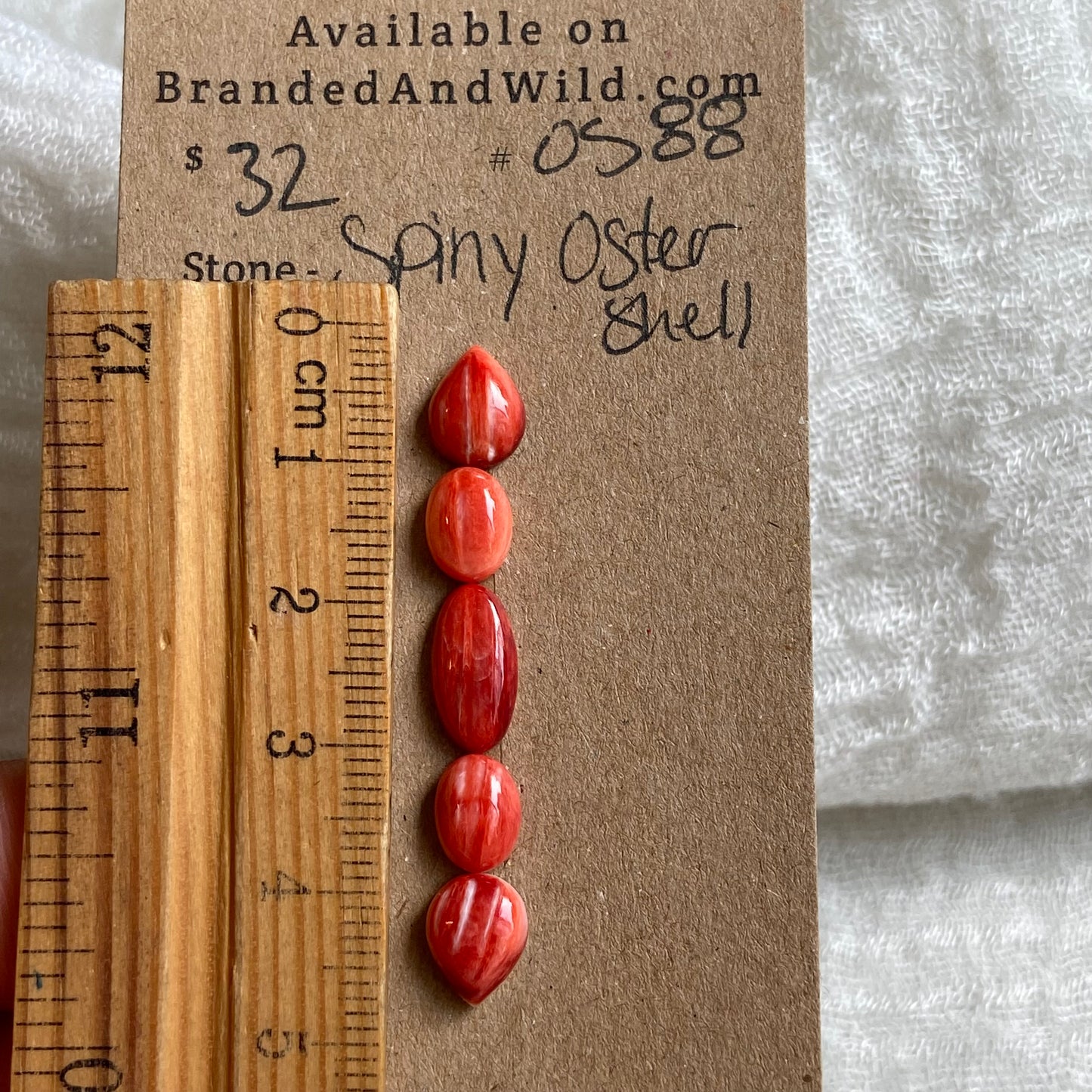 Oyster Shell Cabochon - OS88 33B10712-6041-4D82-B95F-6EF89A5637E8 Brandedandwild.com