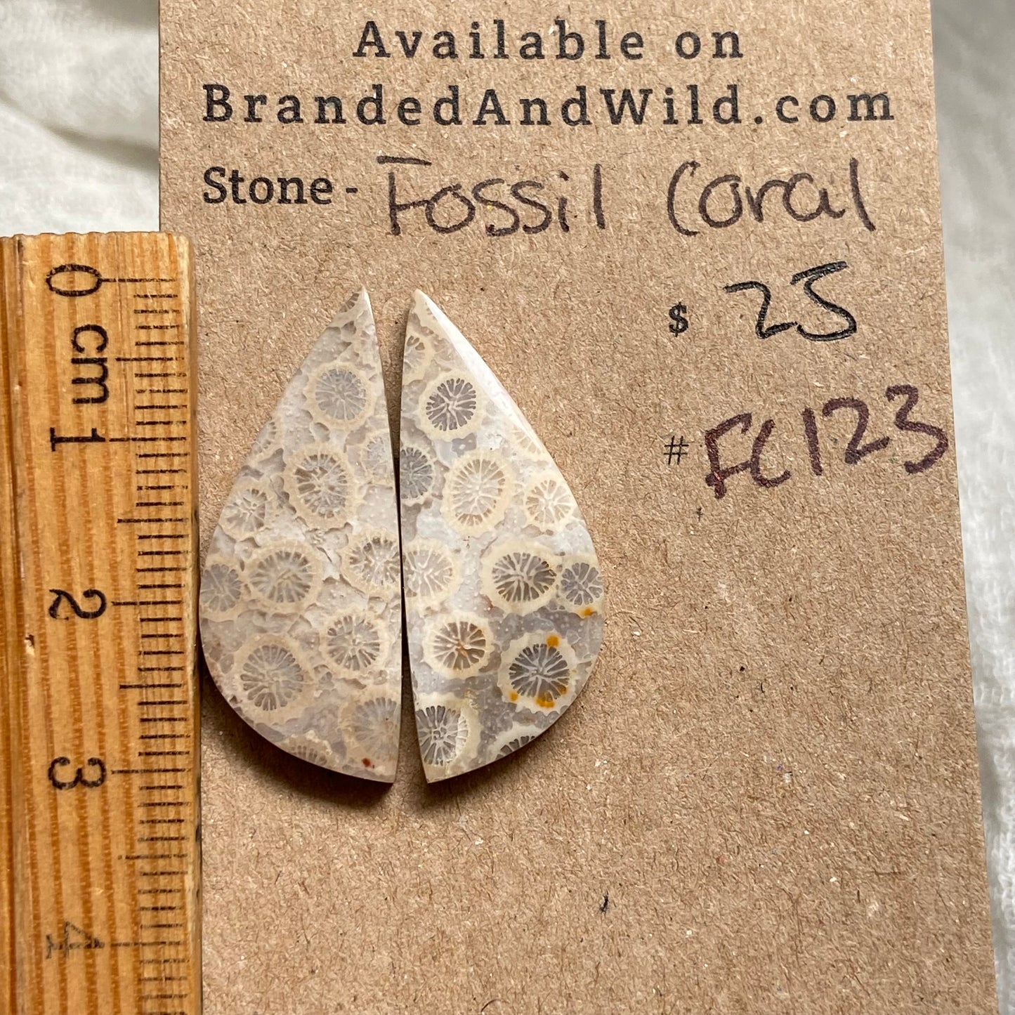 Fossil Coral Cabochon - FC123