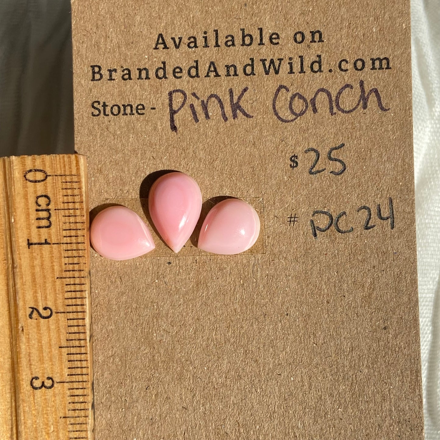 Pink Conch Cabochon - PC24 340D740D-A80B-475F-A378-F0BE0C0CEC37 Brandedandwild.com