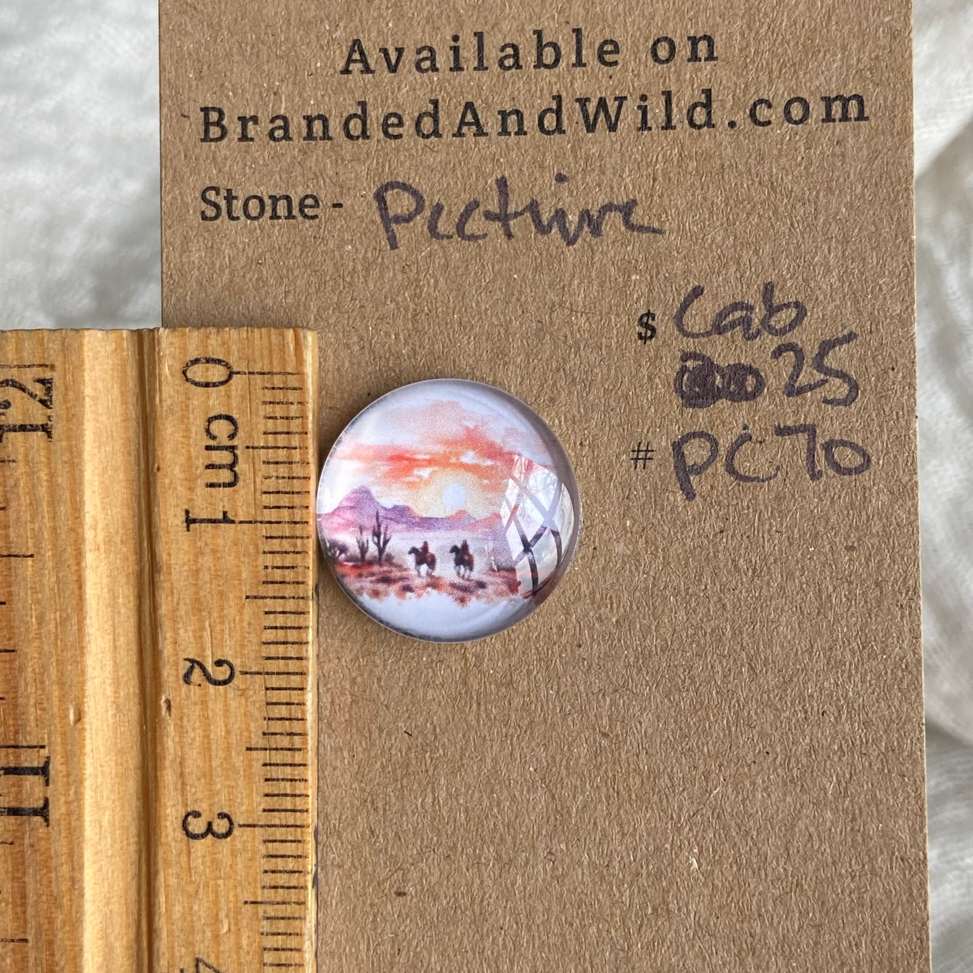 Picture Cabochon - Cabochon - PC70 340DFD95-3019-4B41-999E-D03C5079AB3D Brandedandwild.com