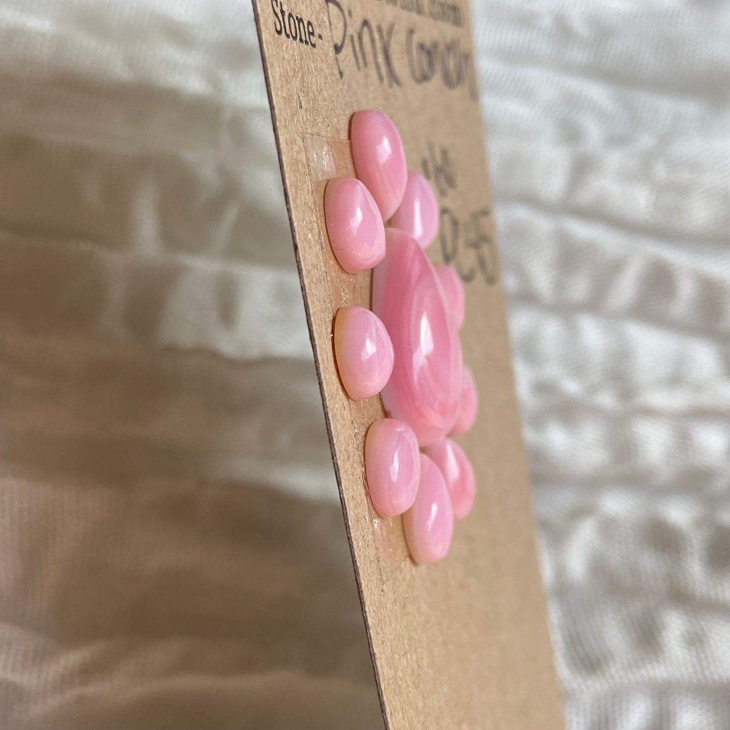 Pink Conch Cabochon - PC45 342581B2-5D98-48BF-A69D-AE0B32C8C503 Brandedandwild.com