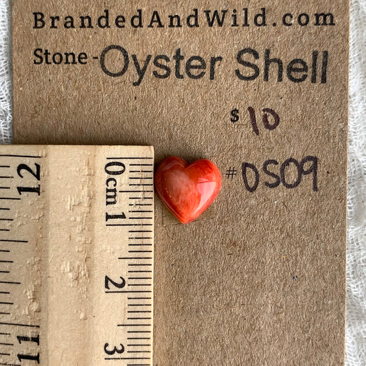 Oystershell Cabochon - OS09