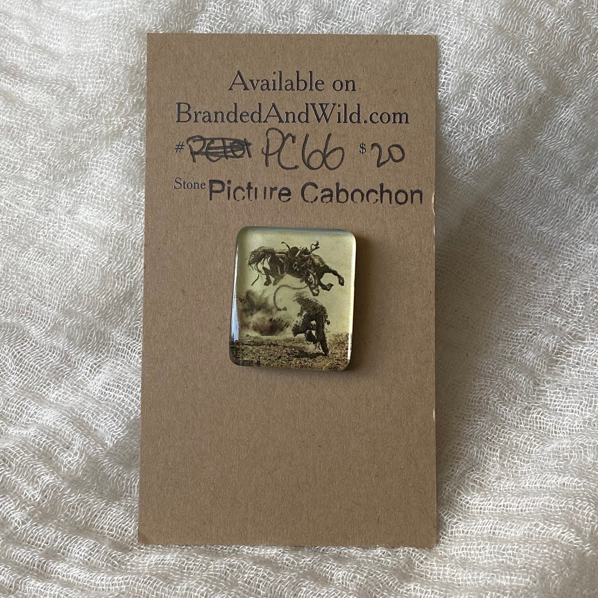 Glass Picture - Cabochon - PC66 345FF081-AA3D-4251-870A-BA6E4964F652 Brandedandwild.com