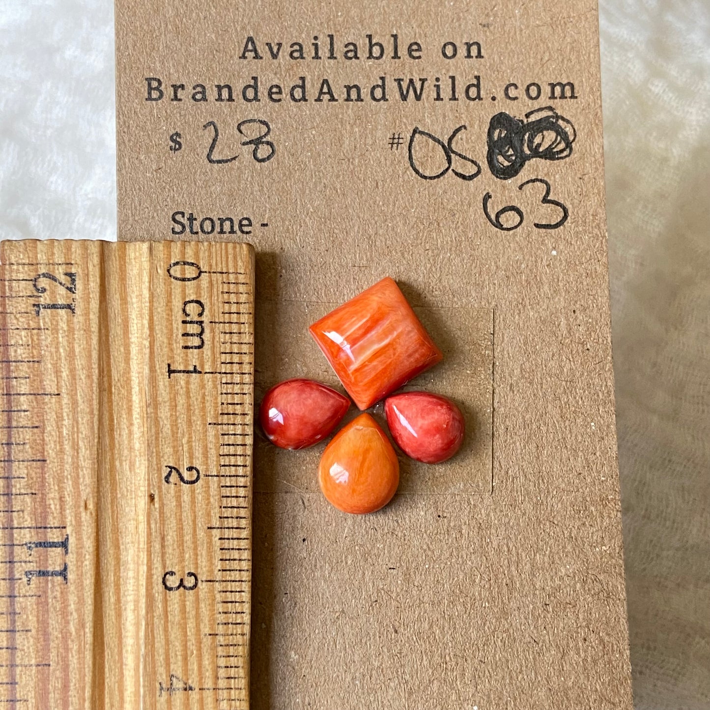 Oystershell Cabochon - OS63 3495F13D-201A-4C63-96DB-A4A003597017 Brandedandwild.com