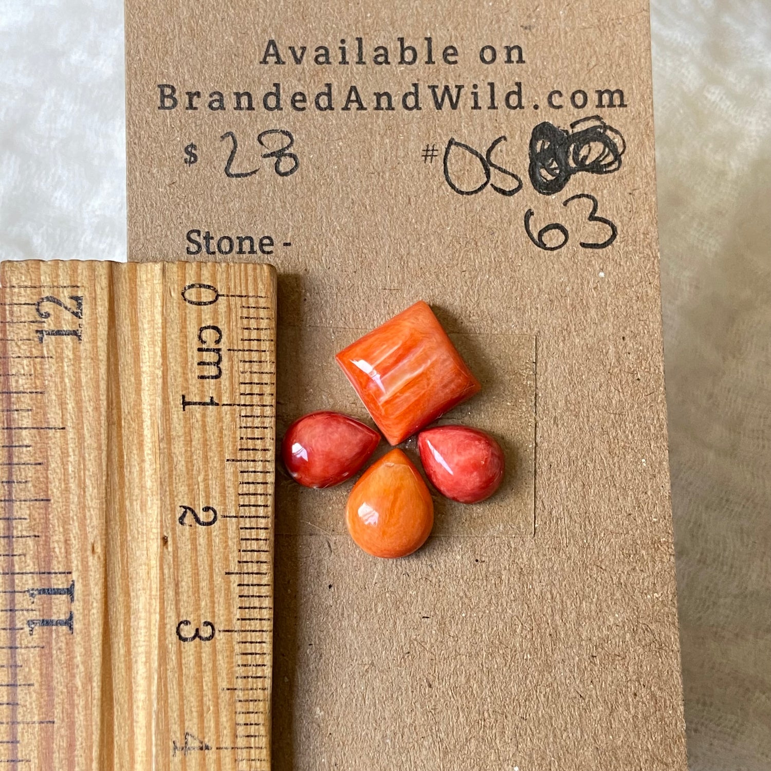 Oystershell Cabochon - OS63 3495F13D-201A-4C63-96DB-A4A003597017 Brandedandwild.com