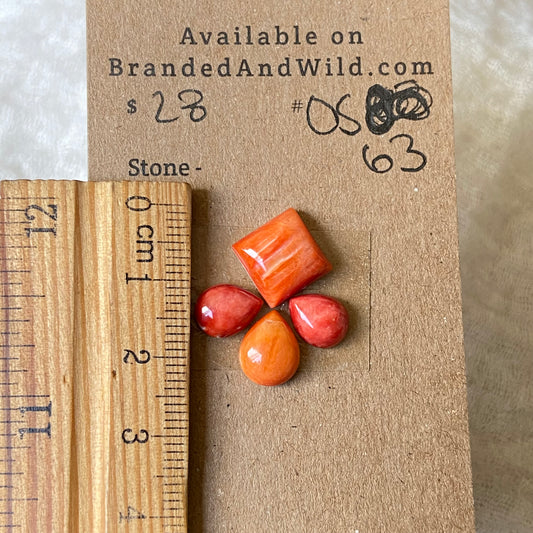 Oystershell Cabochon - OS63 3495F13D-201A-4C63-96DB-A4A003597017 Brandedandwild.com