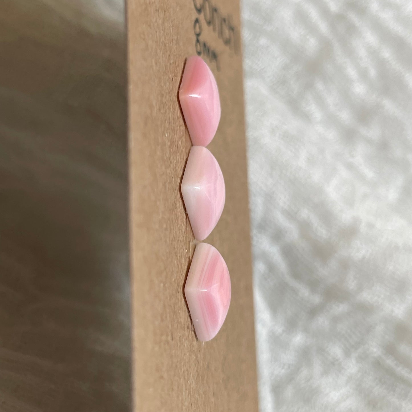 Pink Conch Cabochon - PC21
