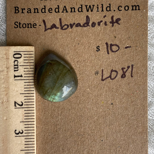 Labradorite Cabochon - L081