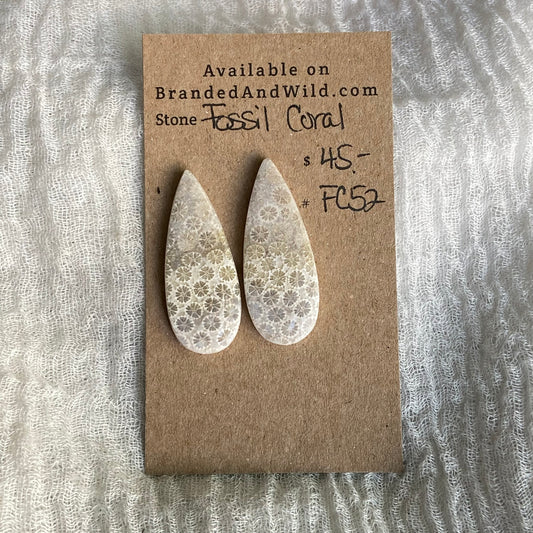 Fossil Coral Cabochon - FC52