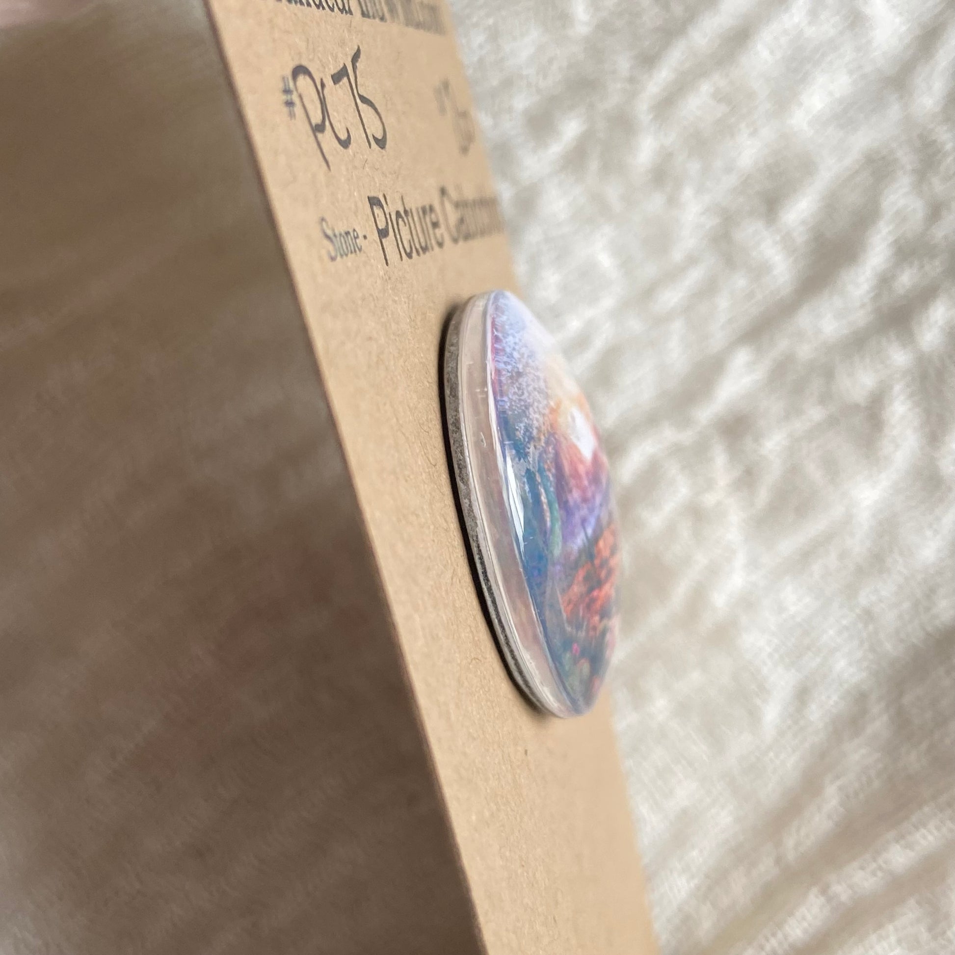 Picture Cabochon - Cabochon - PC75 34CABA82-53D7-4217-AE2E-625888E89358 Brandedandwild.com