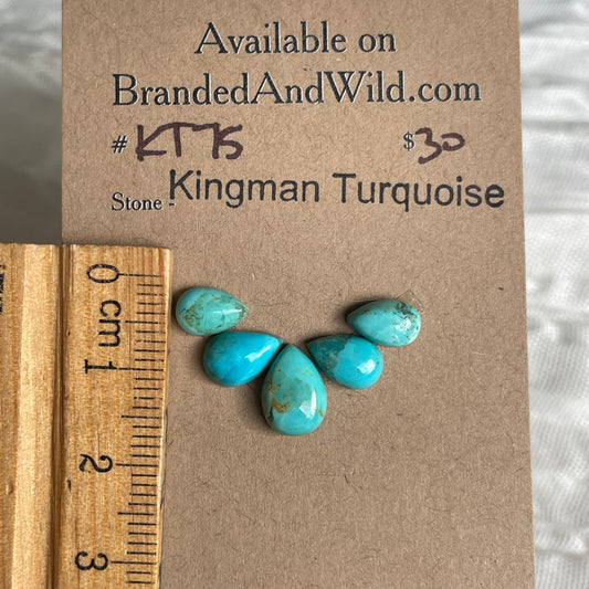 Kingman Turquoise Cabochon - KT75 3506486F-05F7-48B9-B6AF-866FA3D4AAC6 Brandedandwild.com