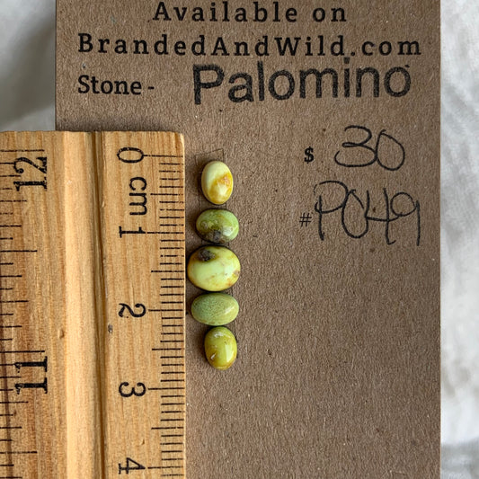 Palomino Cabochon - P049