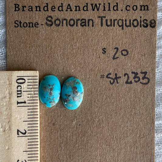 Sonoran Turquoise Cabochon - ST233