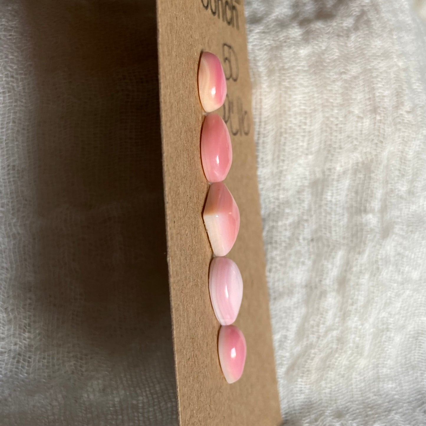 Pink Conch Cabochon - PC16