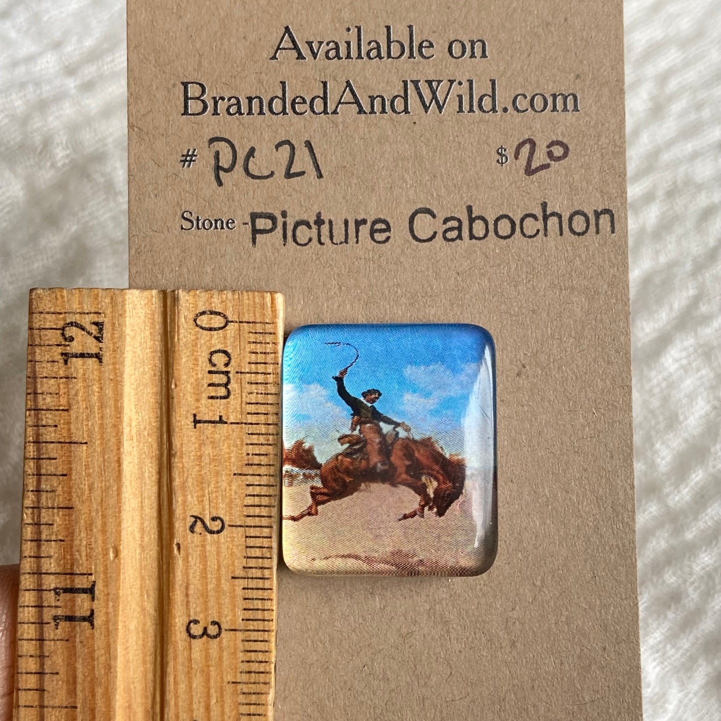 Picture Cabochon - Cabochon - PC21 355575CF-78C7-4009-89CD-5CF3C1AF7B0B Brandedandwild.com