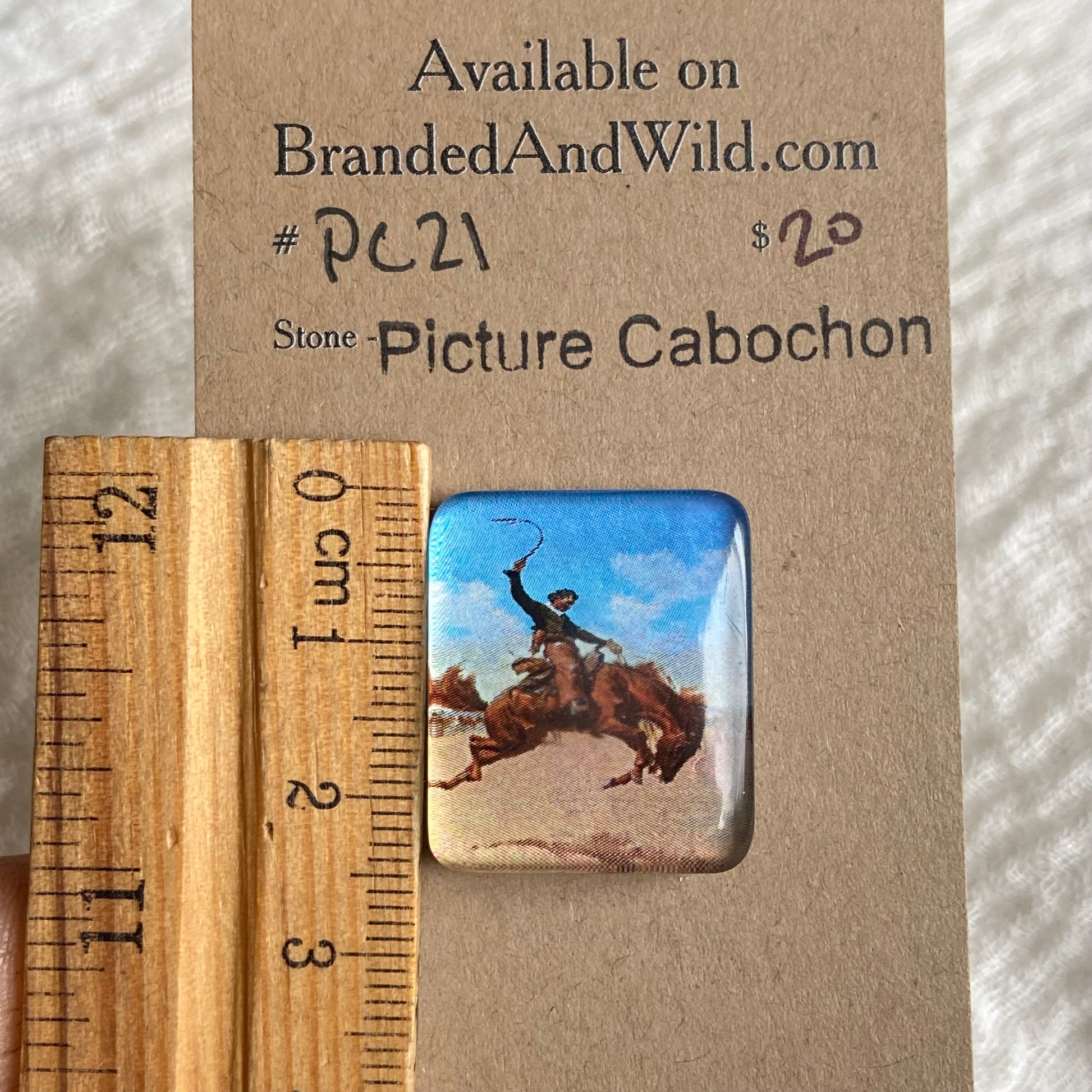 Picture Cabochon - Cabochon - PC21 355575CF-78C7-4009-89CD-5CF3C1AF7B0B Brandedandwild.com