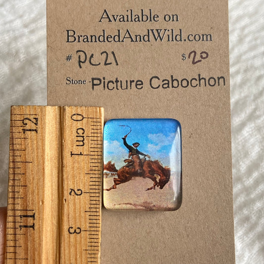 Picture Cabochon - Cabochon - PC21 355575CF-78C7-4009-89CD-5CF3C1AF7B0B Brandedandwild.com
