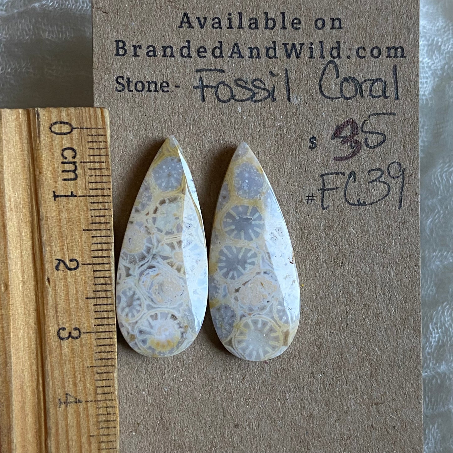 Fossil Coral Cabochon - FC39
