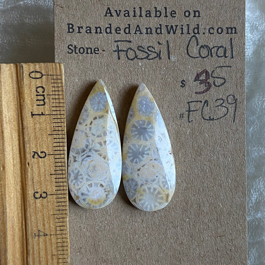 Fossil Coral Cabochon - FC39 355A8C40-BD55-4F69-BCE2-1D3C96AB9D16 Brandedandwild.com