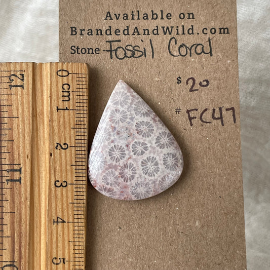 Fossil Coral Cabochon - FC47 35760953-9F3A-4F95-BE3A-306B5D372367 Brandedandwild.com