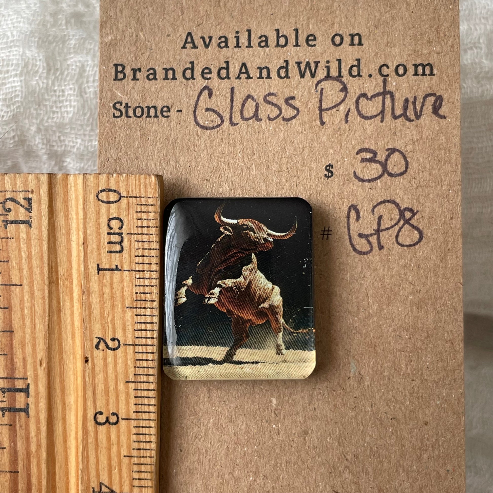 Glass Picture - Cabochon - GP8 35A688C8-E048-4709-8536-F96677D92261 Brandedandwild.com