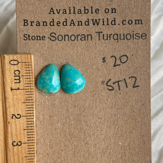 Sonoran Turquoise Cabochon - ST12 35BB0613-4B05-455F-B3CB-286CC20534CD Brandedandwild.com