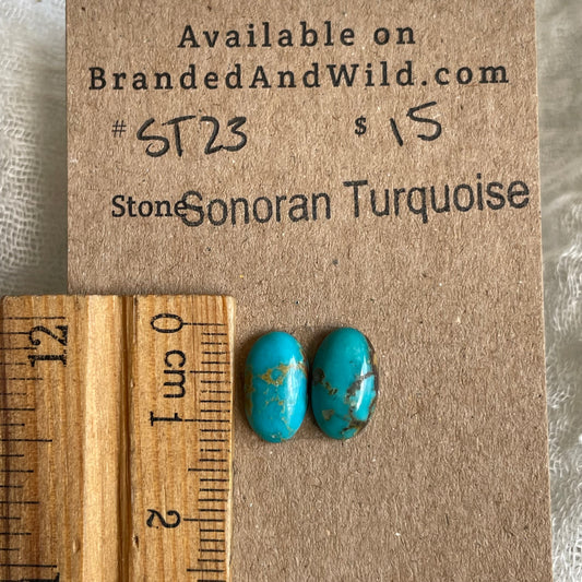Sonoran Turquoise Cabochon - ST23 35C75F5F-6F4E-428D-80B3-03E50B07AD71 Brandedandwild.com