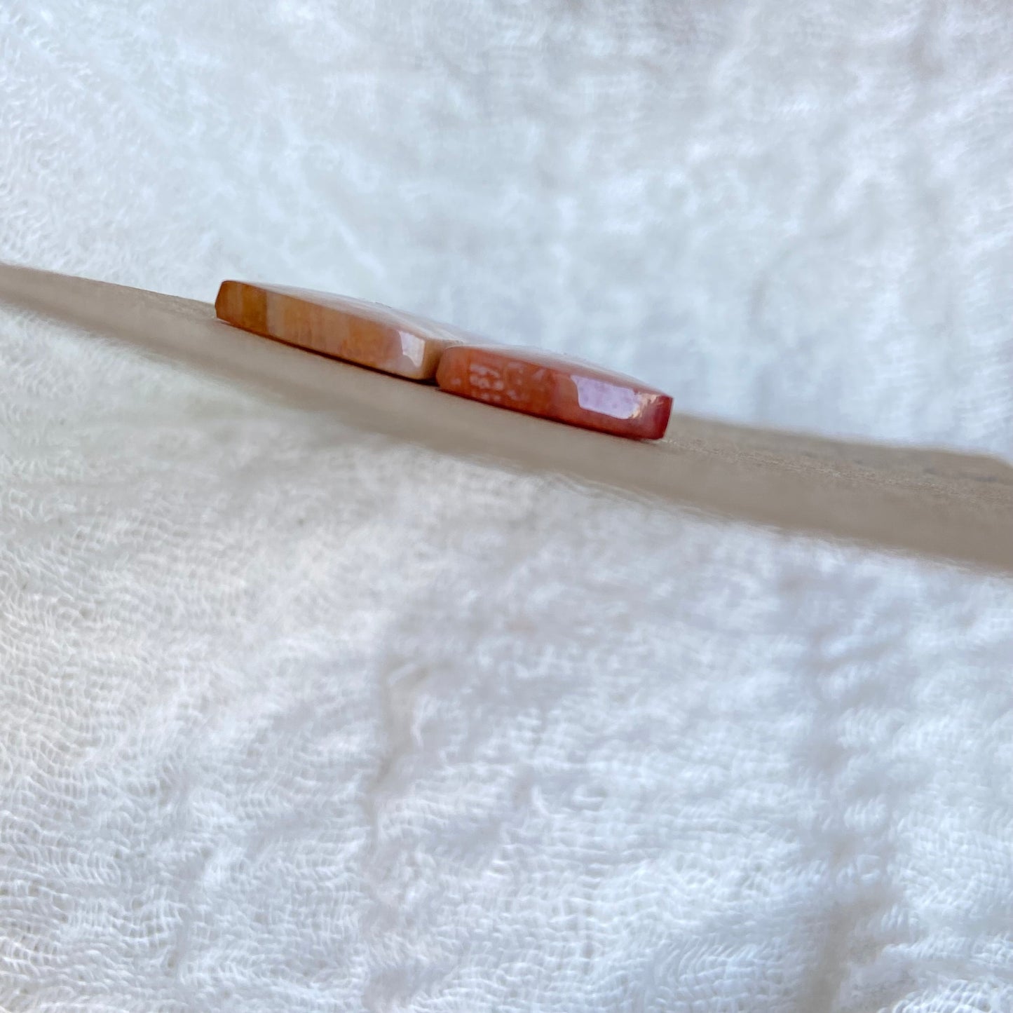 Fossil Coral Cabochon - FC68