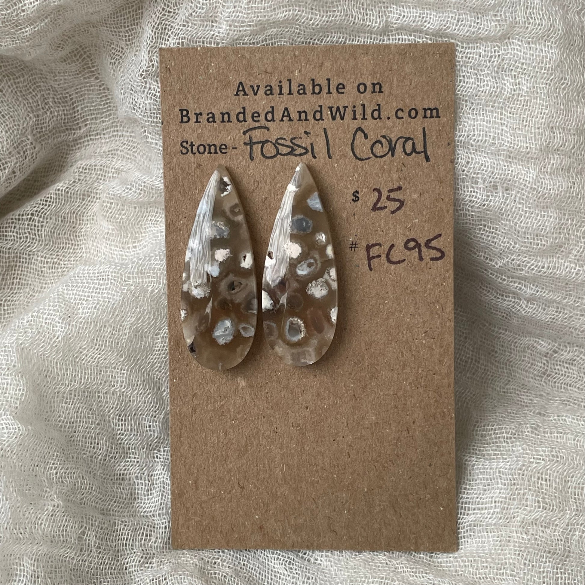 Fossil Coral Cabochon - FC95 35EE04C8-A5DC-4DD6-BE22-7CD03782BADA Brandedandwild.com