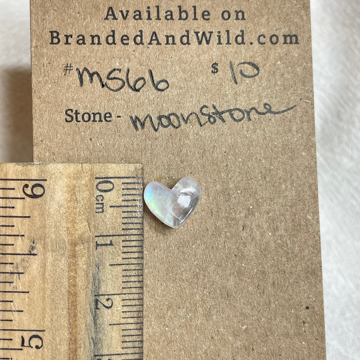 Moonstone Cabochon - MS66