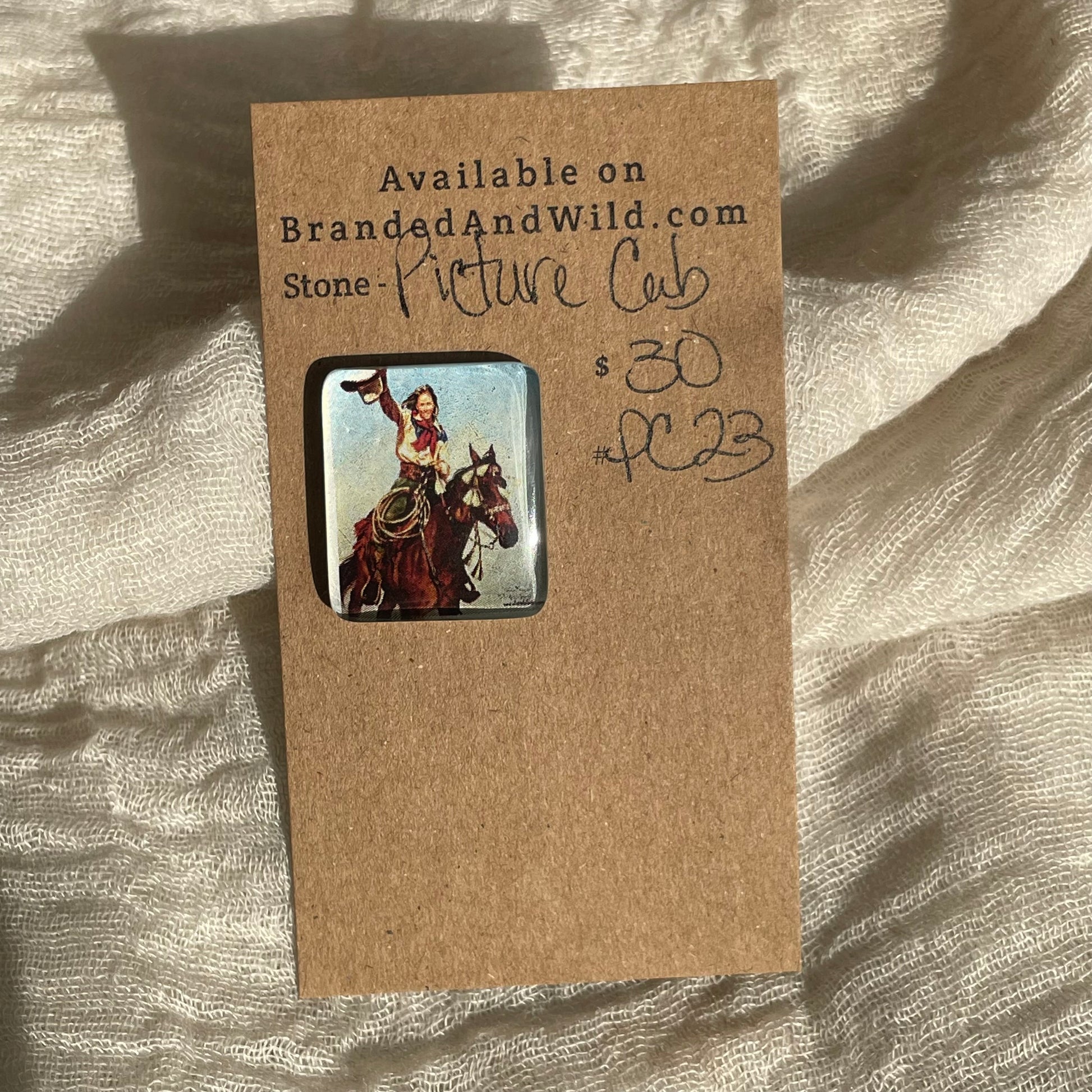 Picture Cabochon - Cabochon - PC23 360FB91B-E093-441C-8134-34ADB09BC000 Brandedandwild.com