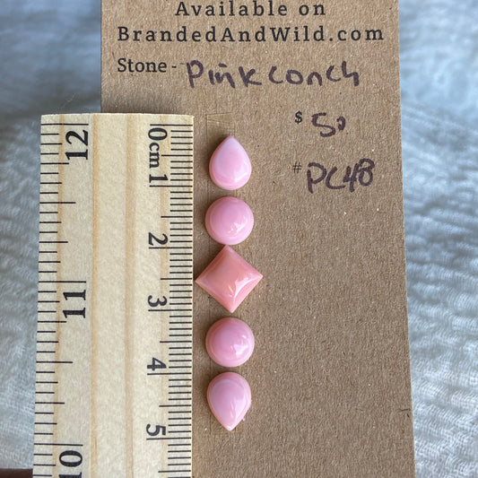 Pink Conch Cabochon - PC48