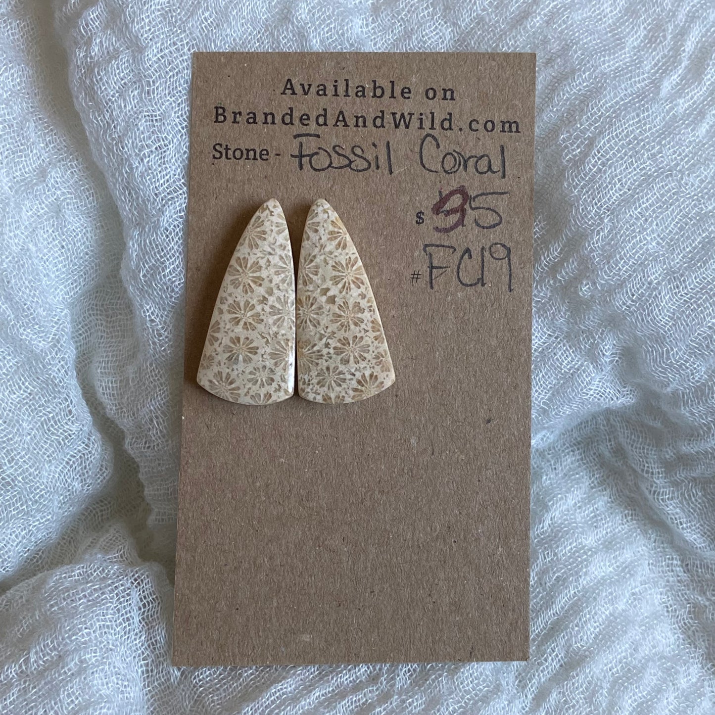 Fossil Coral Cabochon - FC19
