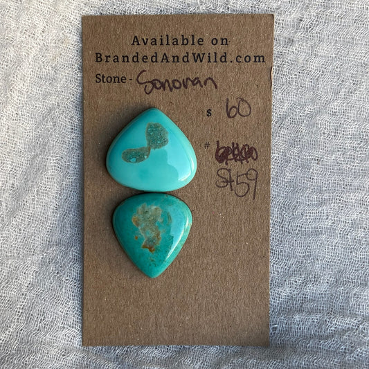 Sonoran Turquoise Cabochon - ST59
