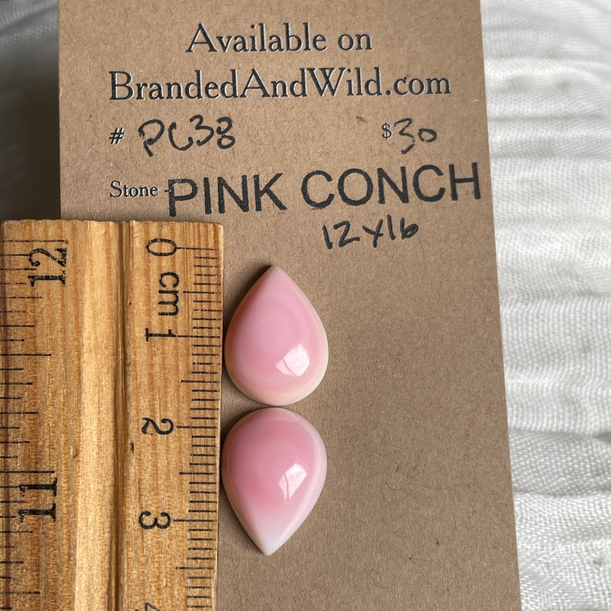 Pink Conch Cabochon - PC38 362A2A96-06C0-4ED7-B54E-BF98DDF721EB Brandedandwild.com