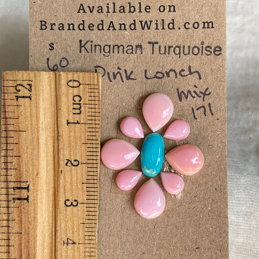 Pink Conch / Kingman Turquoise Cabochon - MIX171