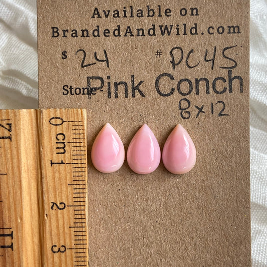 Pink Conch Cabochon - PC45 3634600B-710A-4D00-9F33-6249B32FF788 Brandedandwild.com