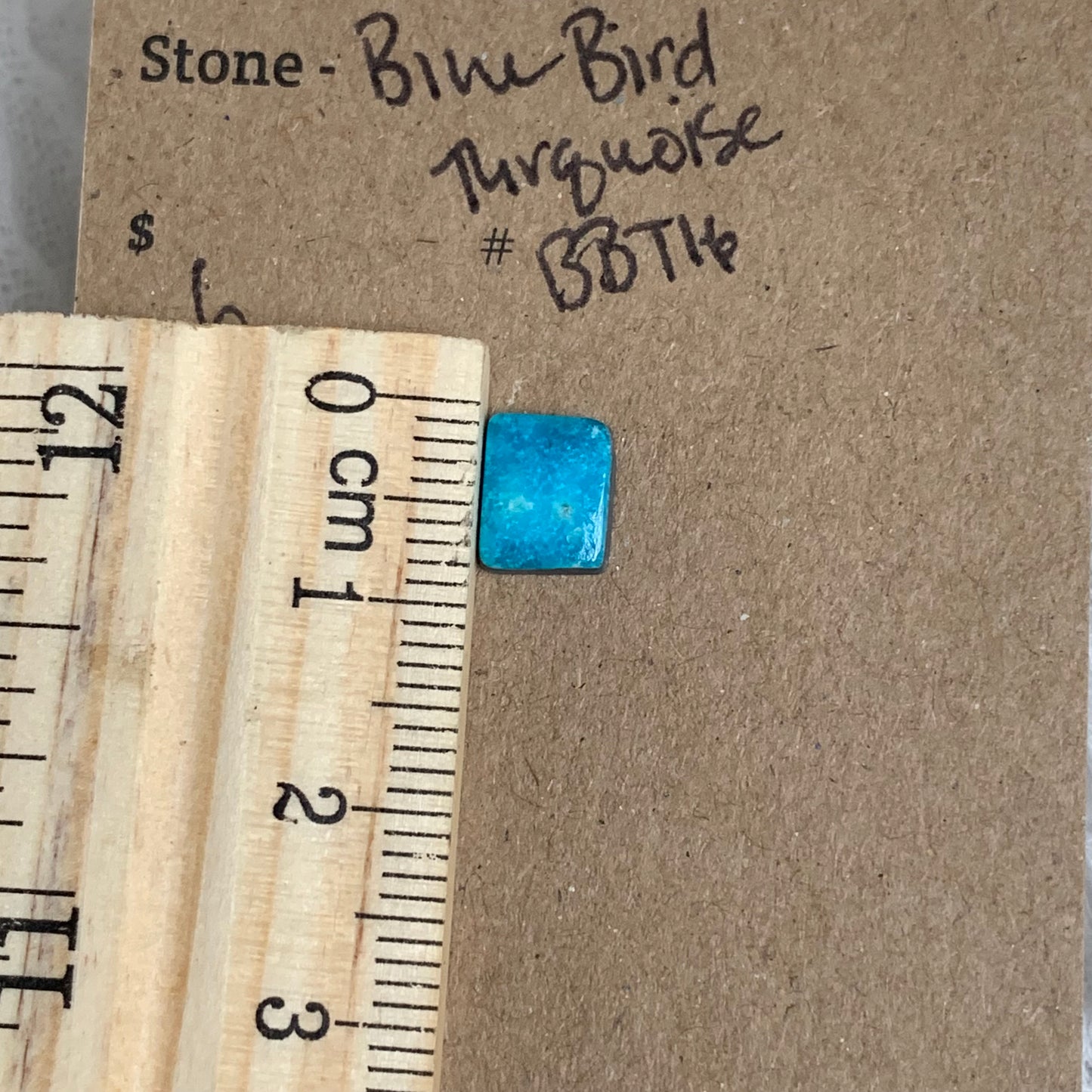 Blue Bird Turquoise Cabochon - BBT16