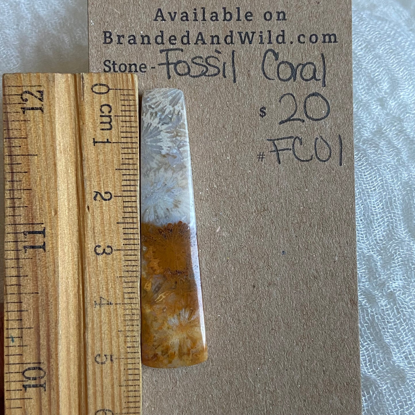 Fossil Coral Cabochon - FC01