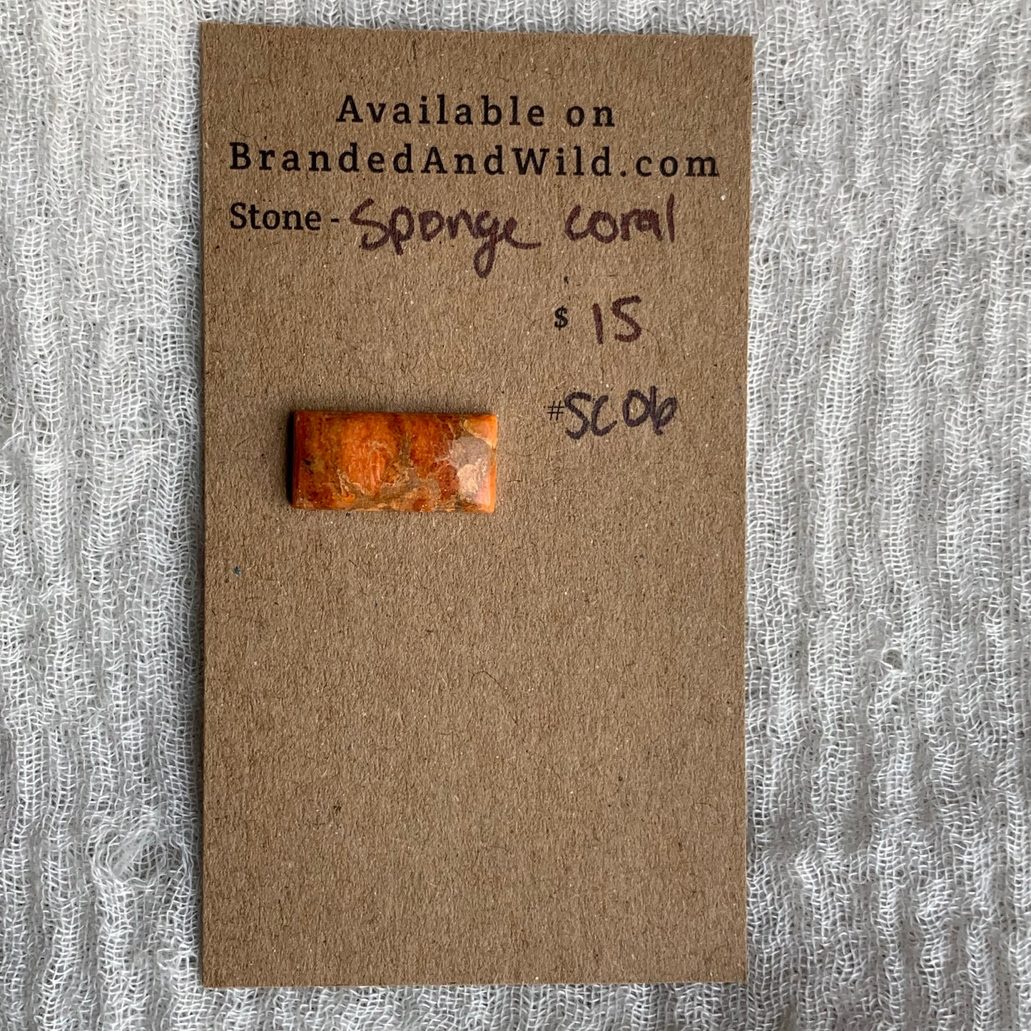 Sponge Coral Cabochon - SC06