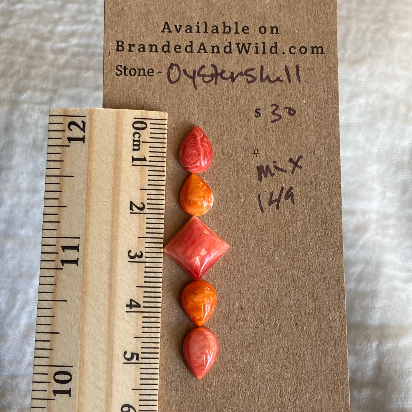 Oyster Shell Cabochon - Mix149