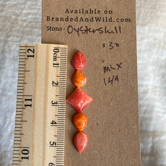 Oyster Shell Cabochon - Mix149