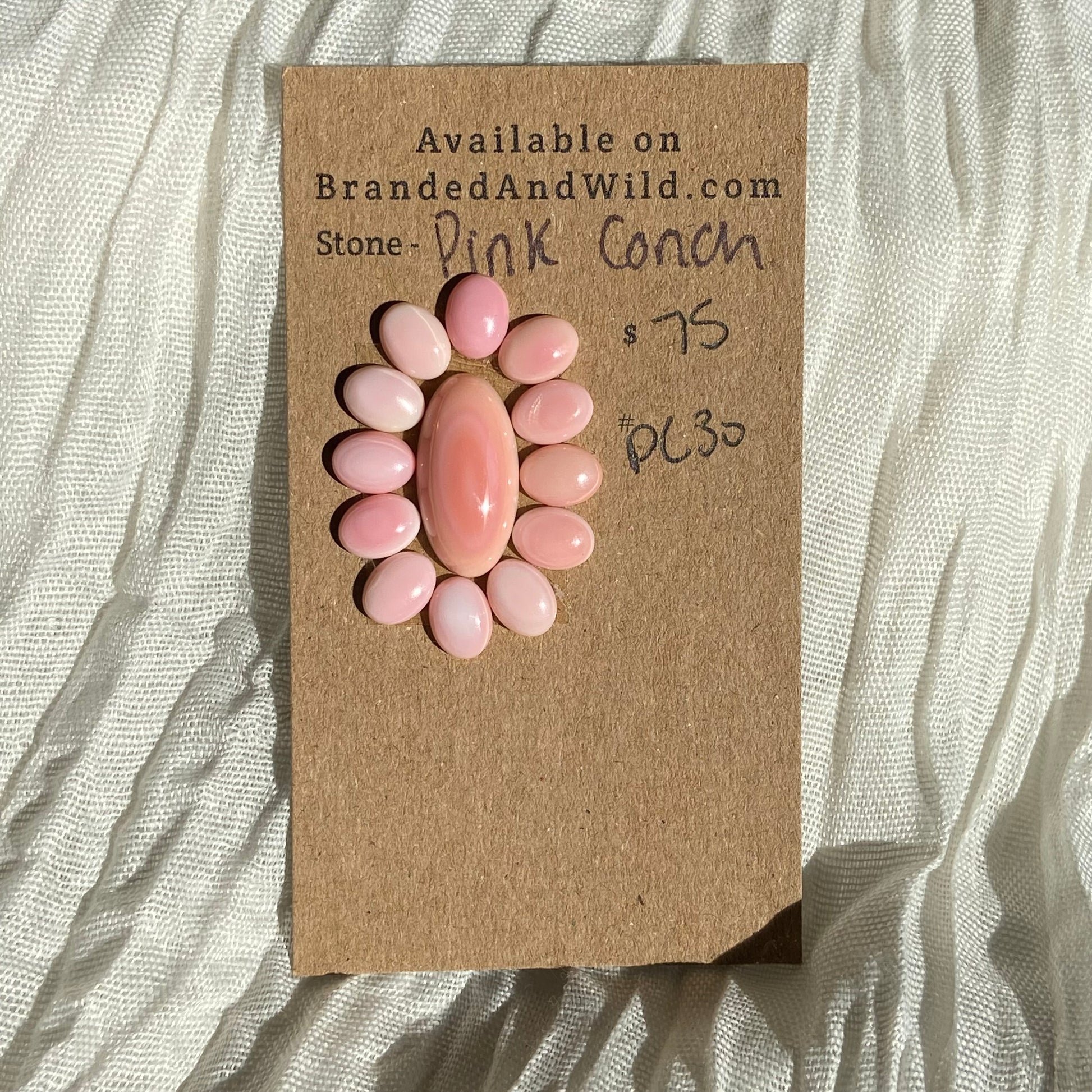Pink Conch Cabochon - PC30 36870E99-73BE-472B-B1AE-ECFE6A822219 Brandedandwild.com