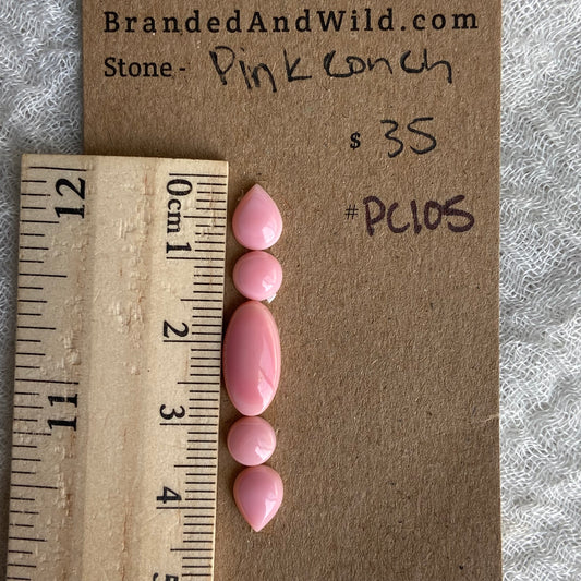 Pink Conch Cabochon - PC105