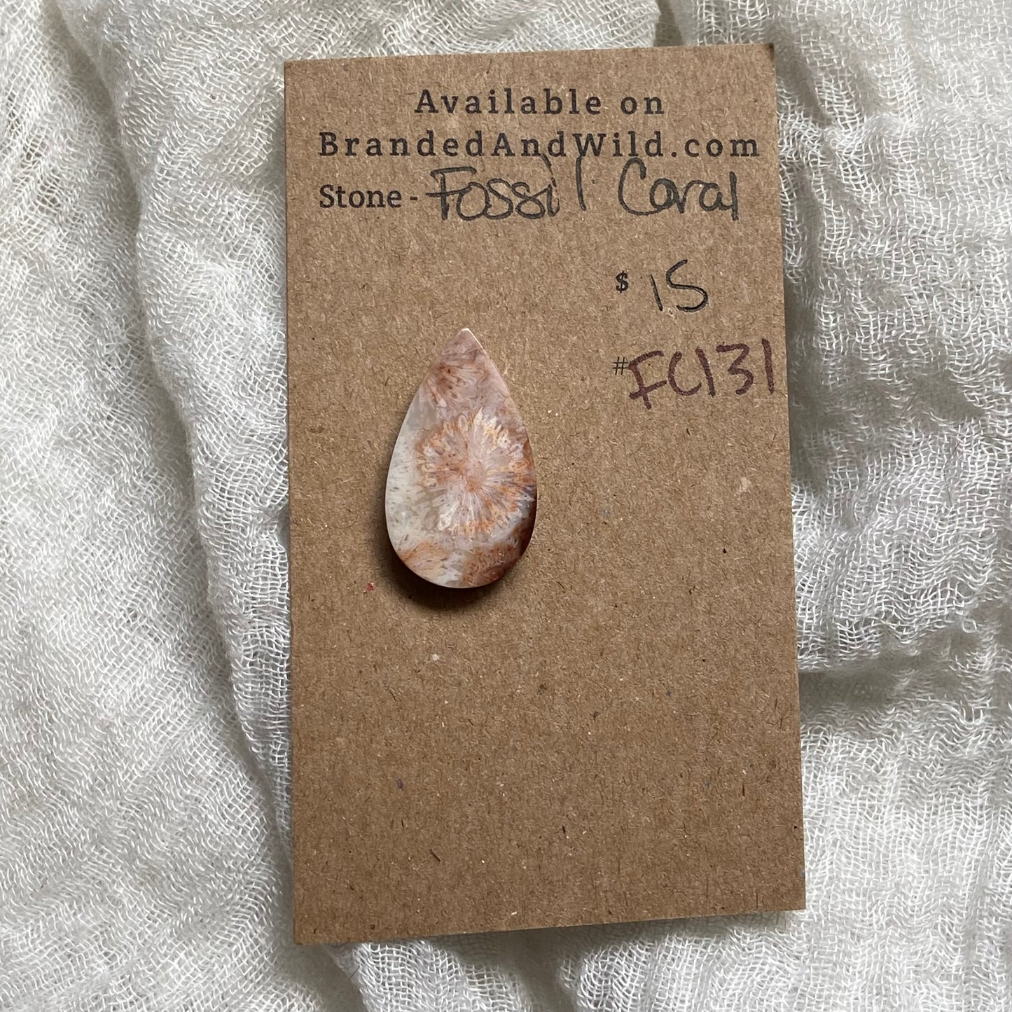 Fossil Coral Cabochon - FC131