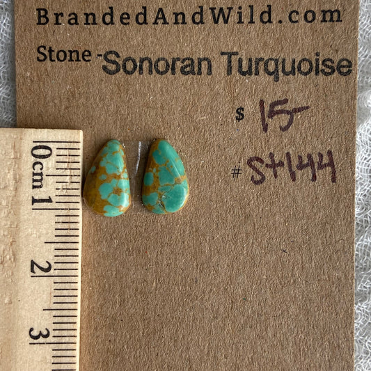 Sonoran Turquoise Cabochon - ST144